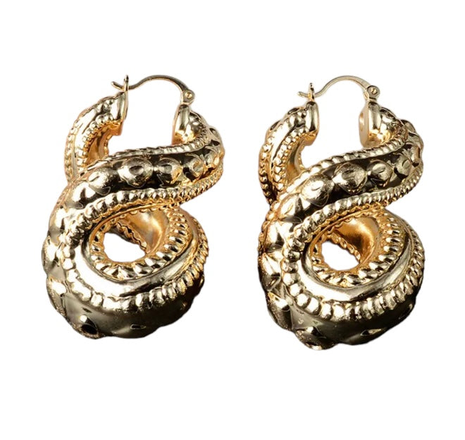 Twisted Earrings