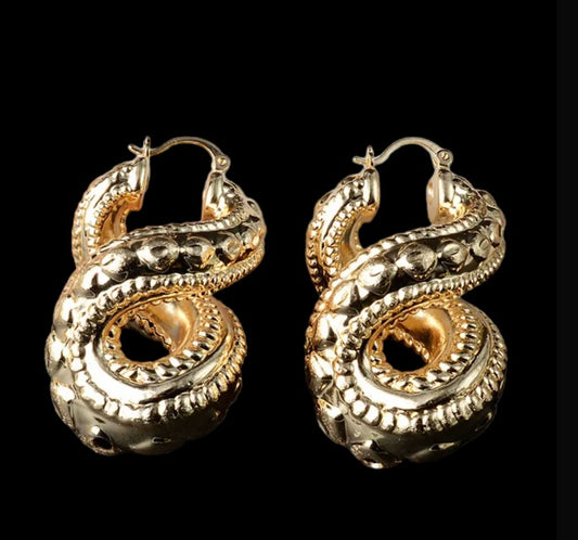 Twisted Earrings